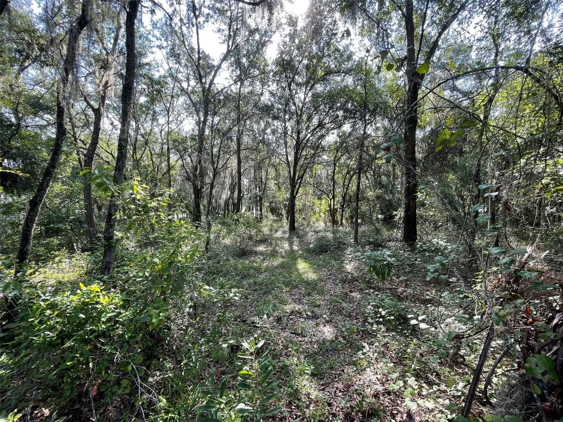 Lots 13 & 14 SW Shorewood Drive Dunnellon FL 34431