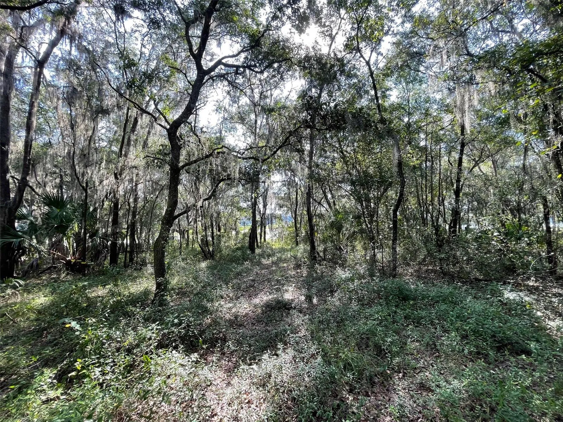 Lots 13 & 14 SW Shorewood Drive Dunnellon FL 34431
