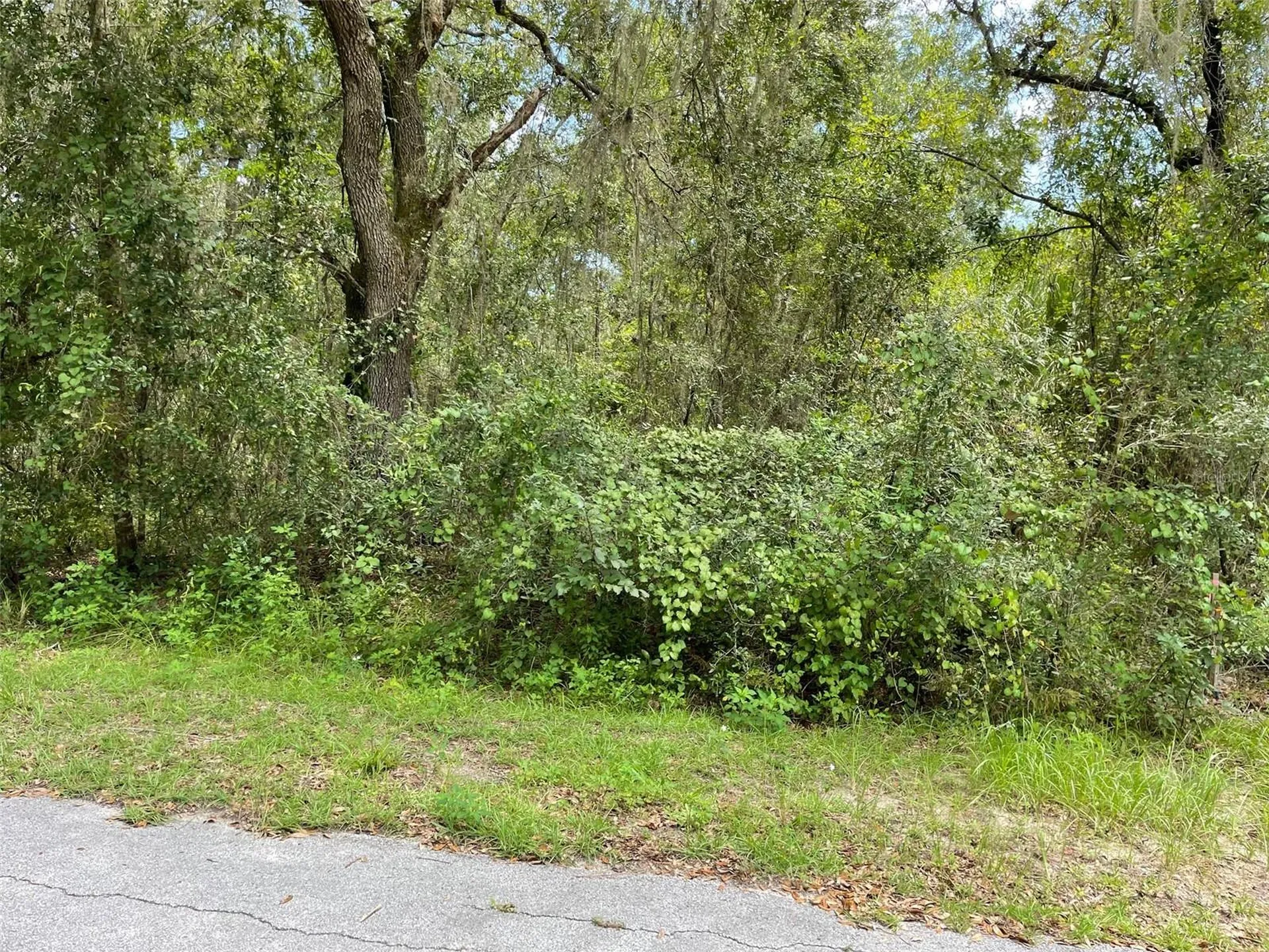 Lots 13 & 14 SW Shorewood Drive Dunnellon FL 34431
