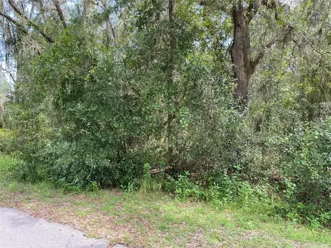 Lots 13 & 14 SW Shorewood Drive Dunnellon FL 34431