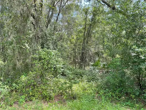 Lots 13 & 14 SW Shorewood Drive Dunnellon FL 34431
