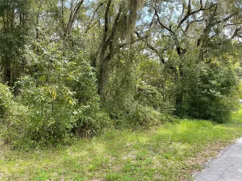 Lots 13 & 14 SW Shorewood Drive Dunnellon FL 34431
