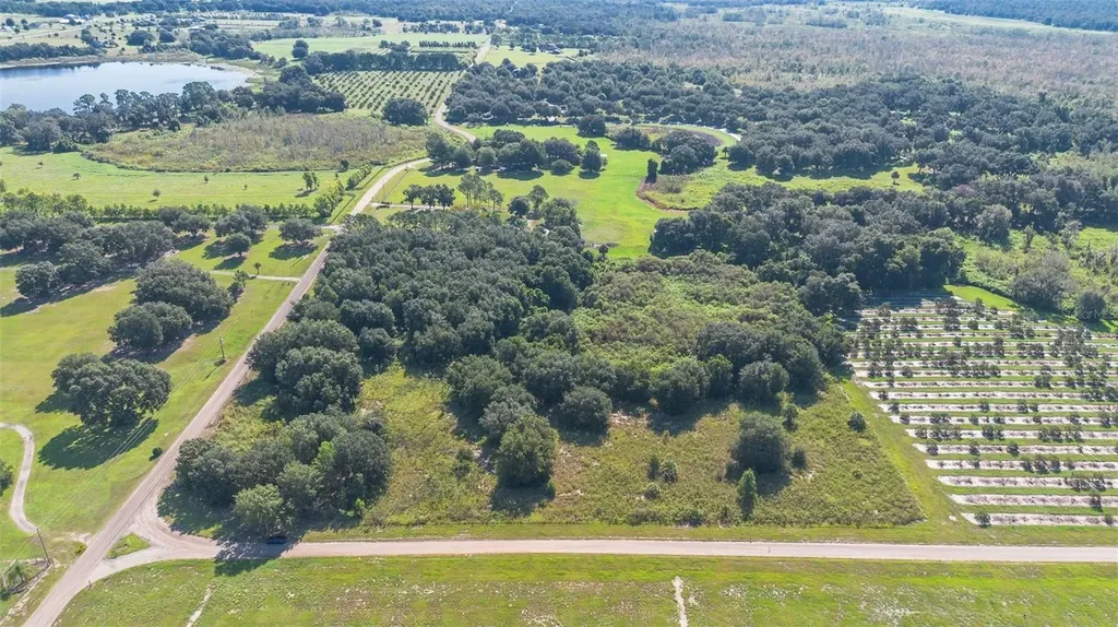 Yale Hammock Road Umatilla FL 32784