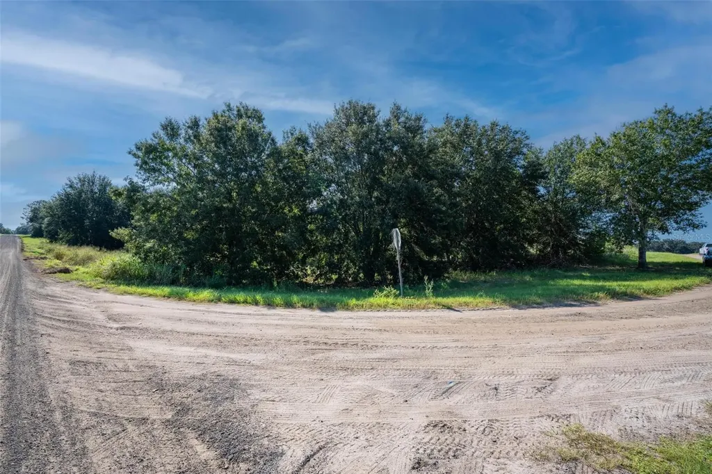 Yale Hammock Road Umatilla FL 32784