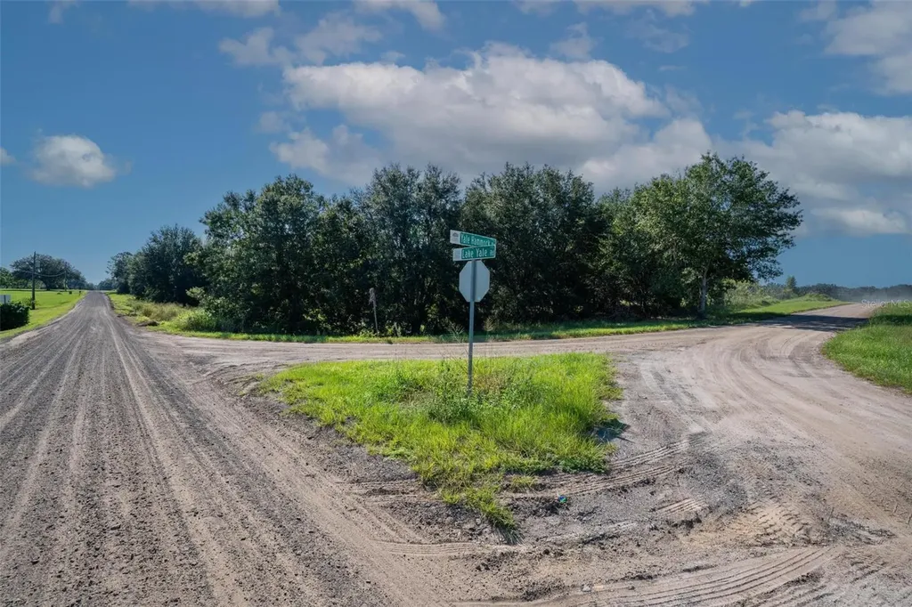 Yale Hammock Road Umatilla FL 32784