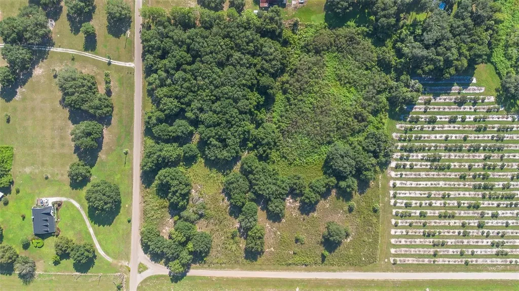 Yale Hammock Road Umatilla FL 32784