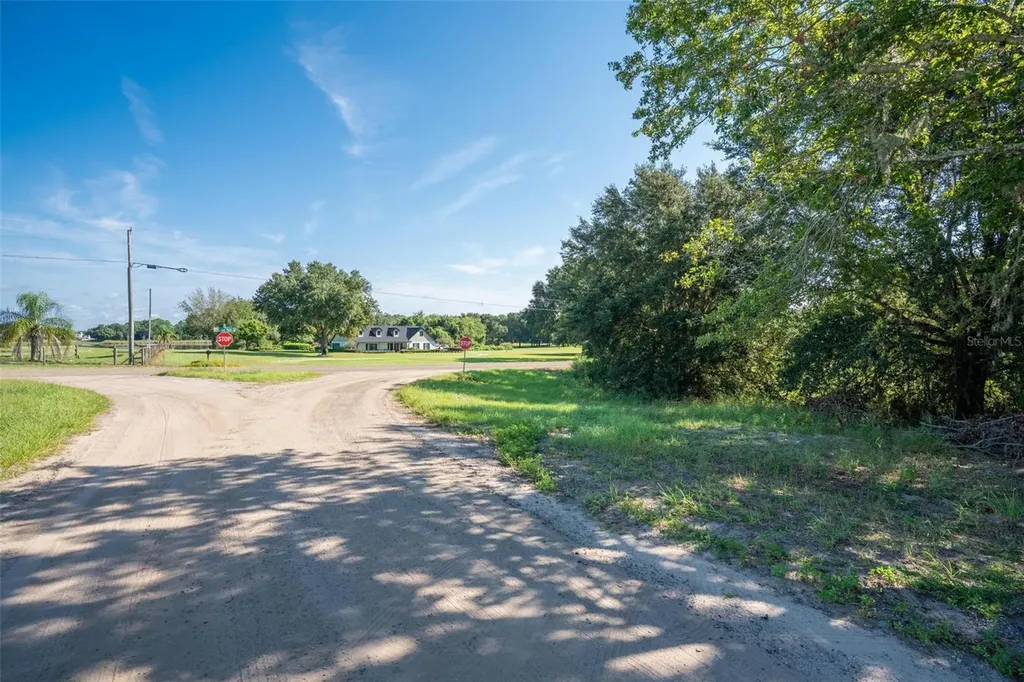 Yale Hammock Road Umatilla FL 32784