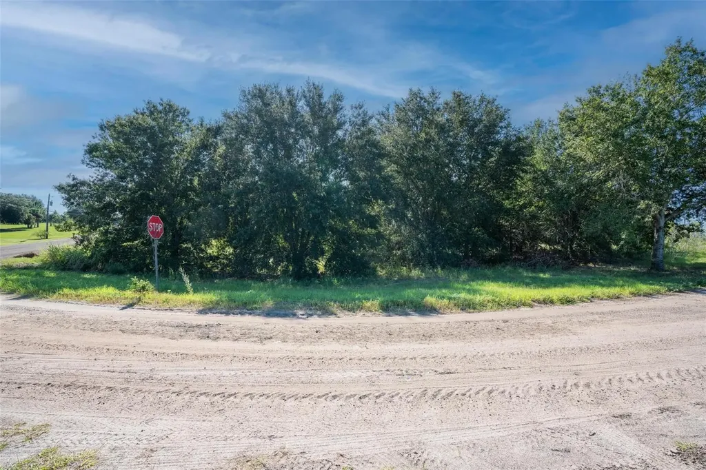Yale Hammock Road Umatilla FL 32784