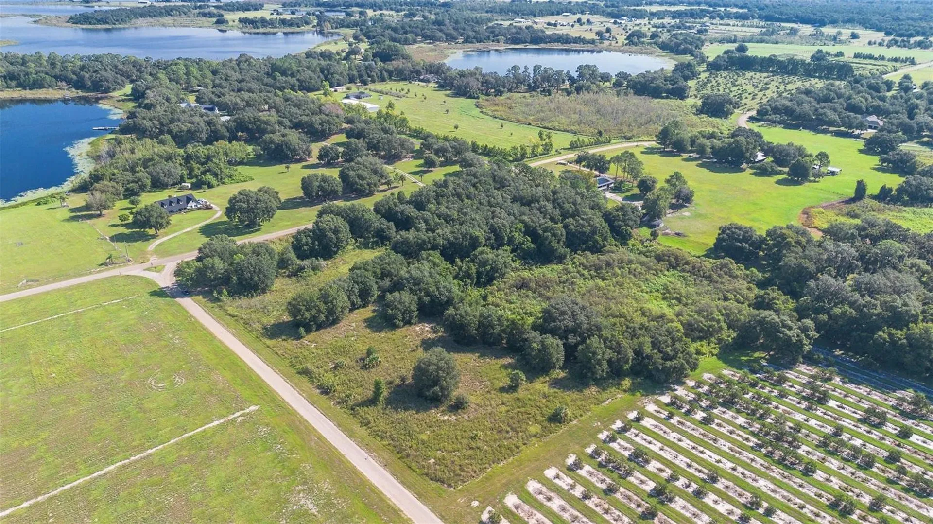Yale Hammock Road Umatilla FL 32784