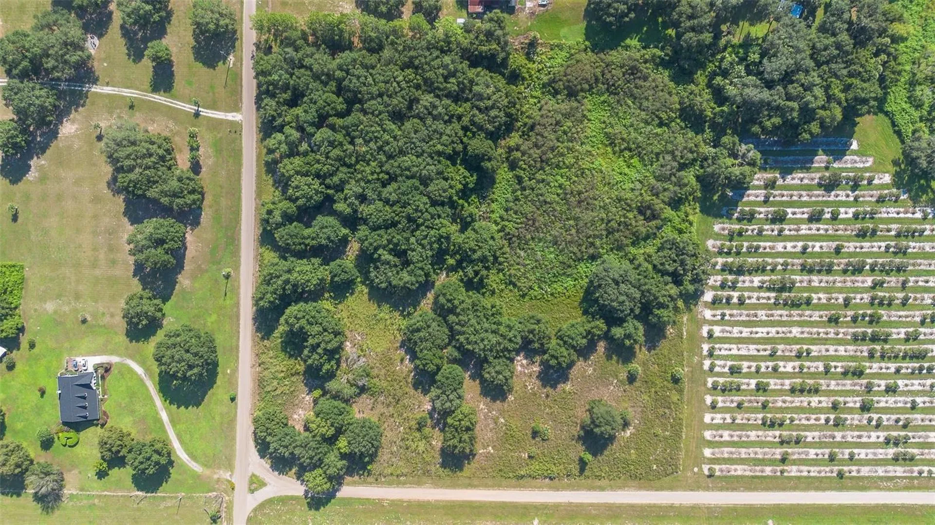 Yale Hammock Road Umatilla FL 32784