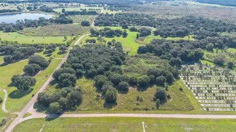 Yale Hammock Road Umatilla FL 32784