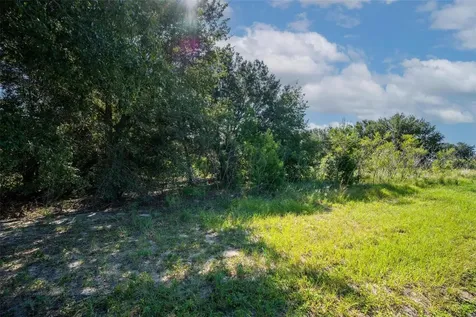 Yale Hammock Road Umatilla FL 32784