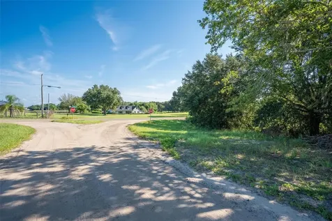 Yale Hammock Road Umatilla FL 32784