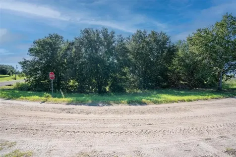 Yale Hammock Road Umatilla FL 32784