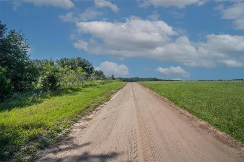 Yale Hammock Road Umatilla FL 32784