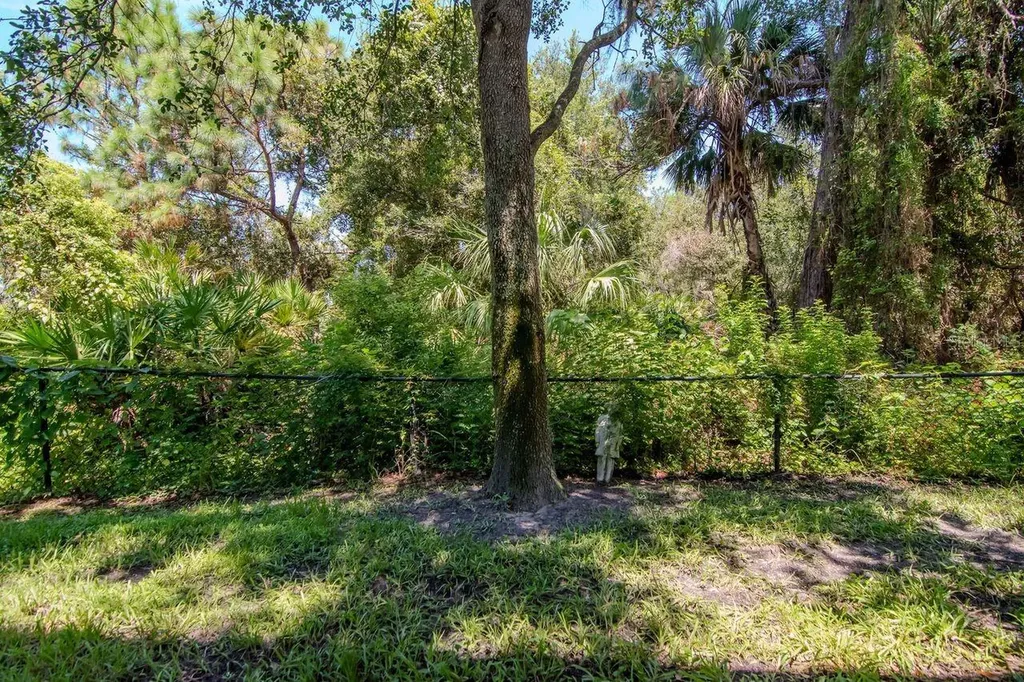 8880 Moonlit Meadows Loop Riverview FL 33578