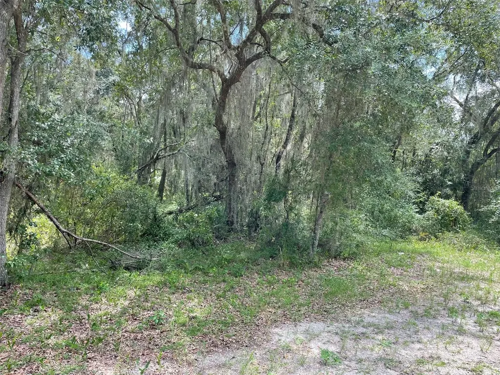 Lots 15 & 16 SW Shorewood Drive Dunnellon FL 34431