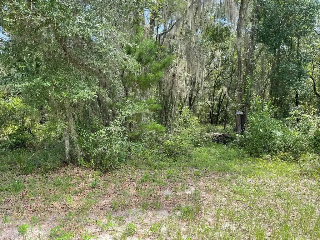 Lots 15 & 16 SW Shorewood Drive Dunnellon FL 34431