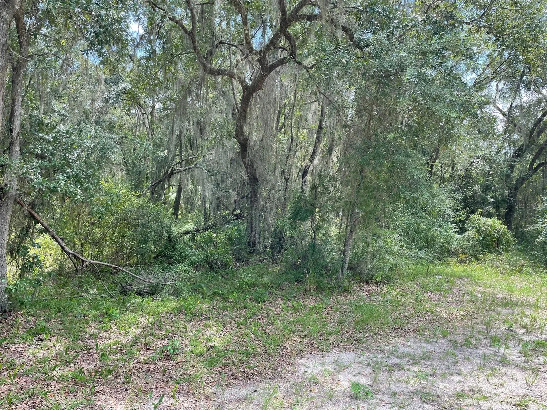 Lots 15 & 16 SW Shorewood Drive Dunnellon FL 34431