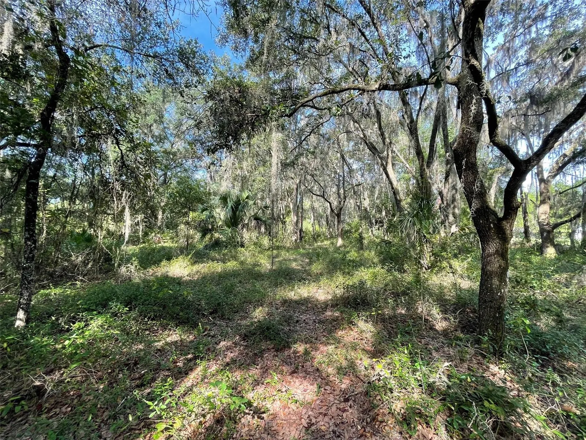 Lots 15 & 16 SW Shorewood Drive Dunnellon FL 34431