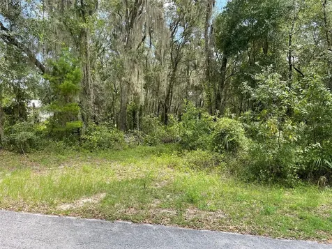 Lots 15 & 16 SW Shorewood Drive Dunnellon FL 34431