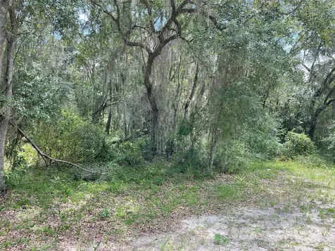 Lots 15 & 16 SW Shorewood Drive Dunnellon FL 34431