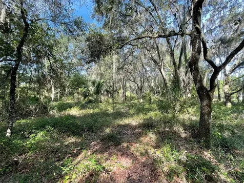 Lots 15 & 16 SW Shorewood Drive Dunnellon FL 34431