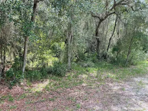 Lots 15 & 16 SW Shorewood Drive Dunnellon FL 34431