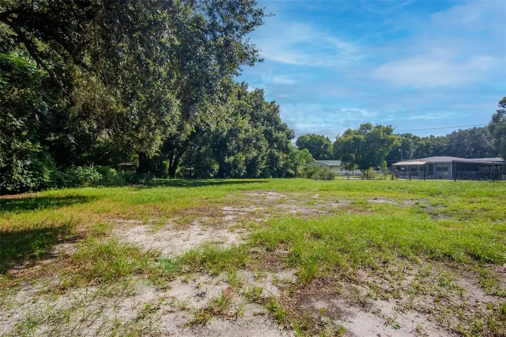 1009 Mercer Loop Plant City FL 33567