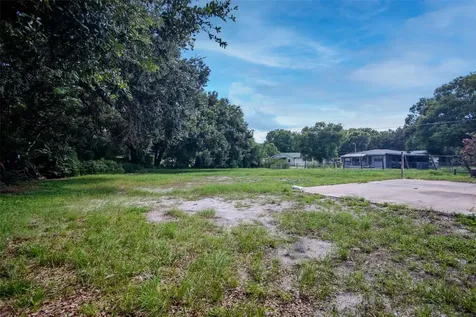 1009 Mercer Loop Plant City FL 33567