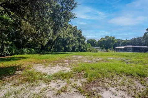 1009 Mercer Loop Plant City FL 33567