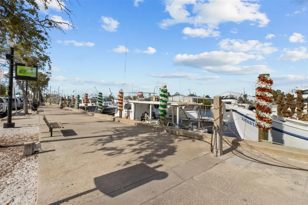 721 Brittany Park Boulevard Tarpon Springs FL 34689