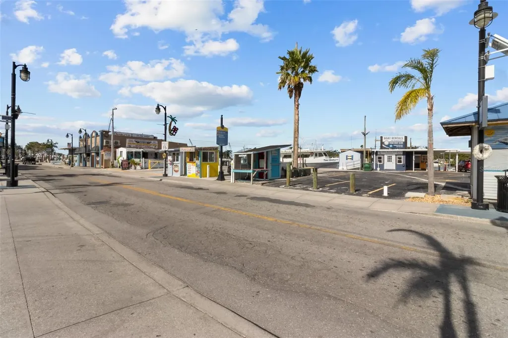 721 Brittany Park Boulevard Tarpon Springs FL 34689