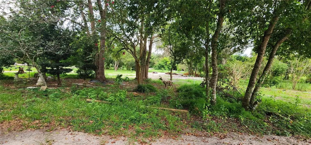 711 Sunset Avenue Orange City FL 32763