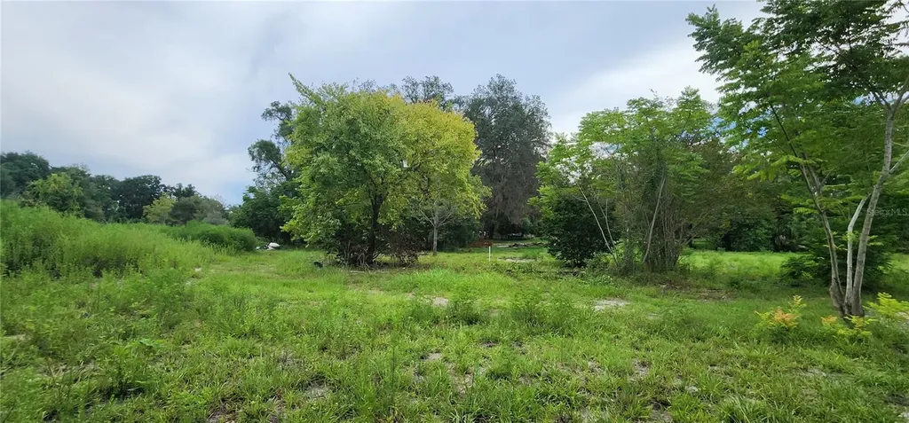 711 Sunset Avenue Orange City FL 32763