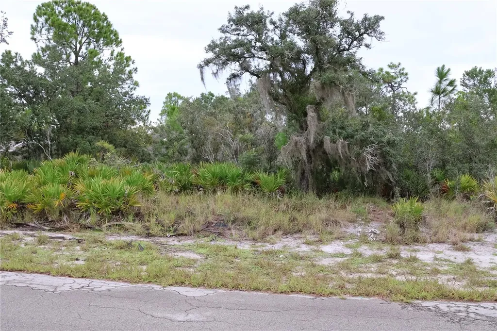 3335 Gerber Avenue Lake Placid FL 33852