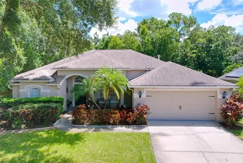 10615 Chambers Drive Tampa FL 33626