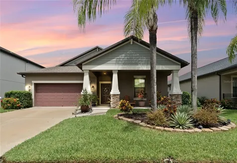 19165 Taviston Drive Land O Lakes FL 34638