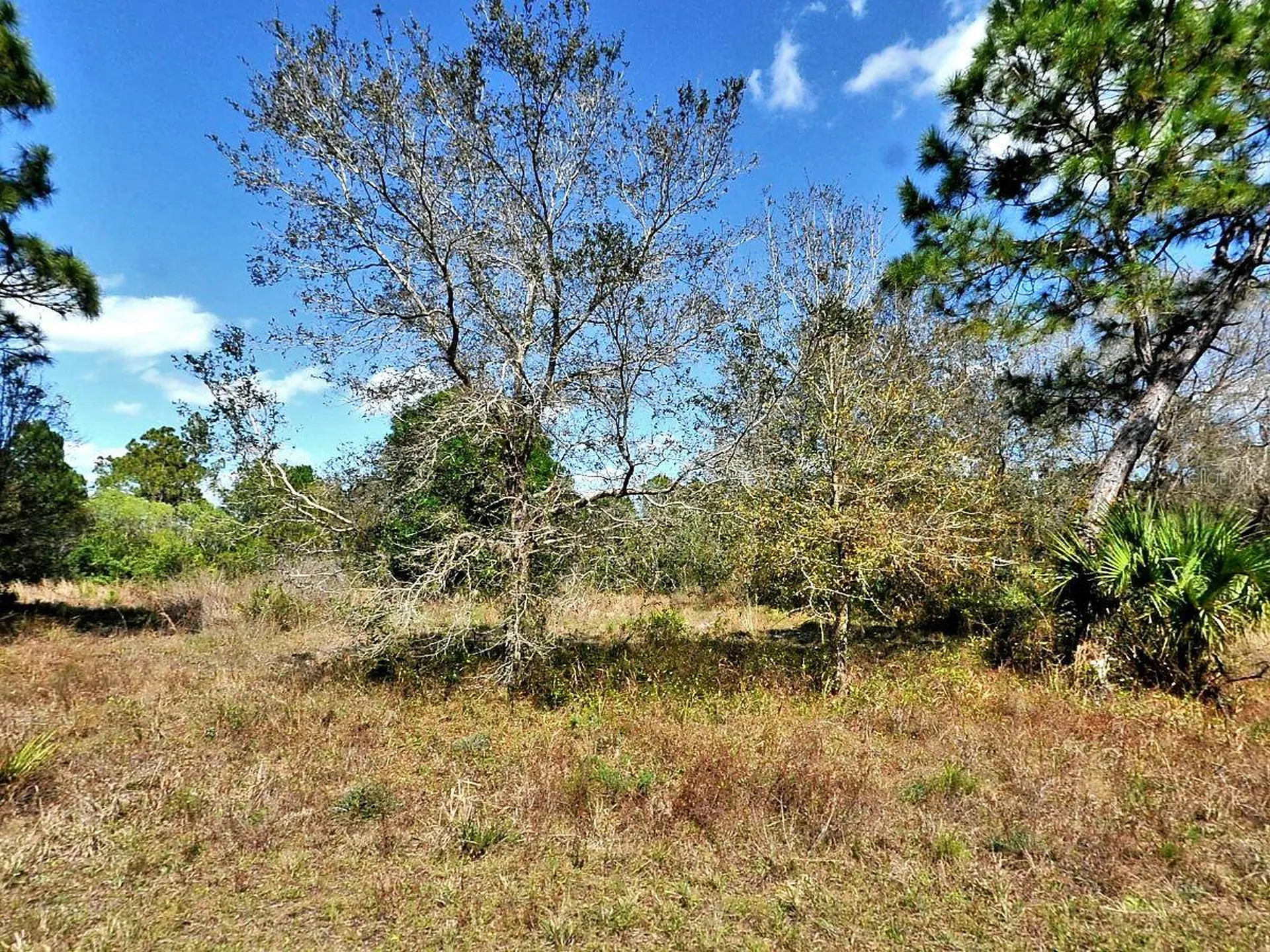 Nocturn Street North Port FL 34288