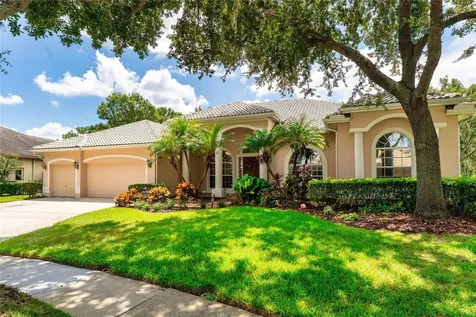 9117 Woodridge Run Drive Tampa FL 33647