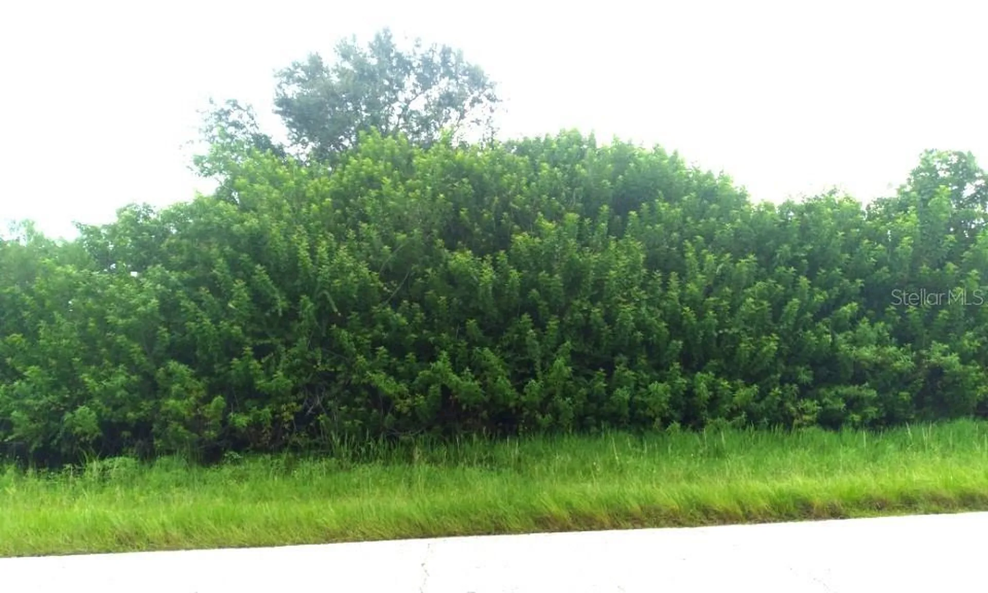 7310 David Boulevard Port Charlotte FL 33981