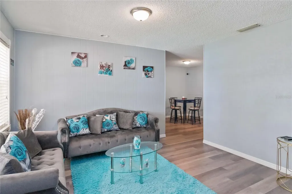 1115 S Alder Avenue Orlando FL 32807