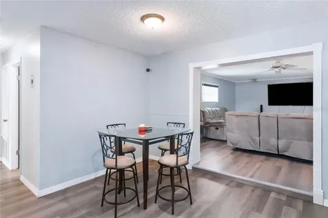 1115 S Alder Avenue Orlando FL 32807