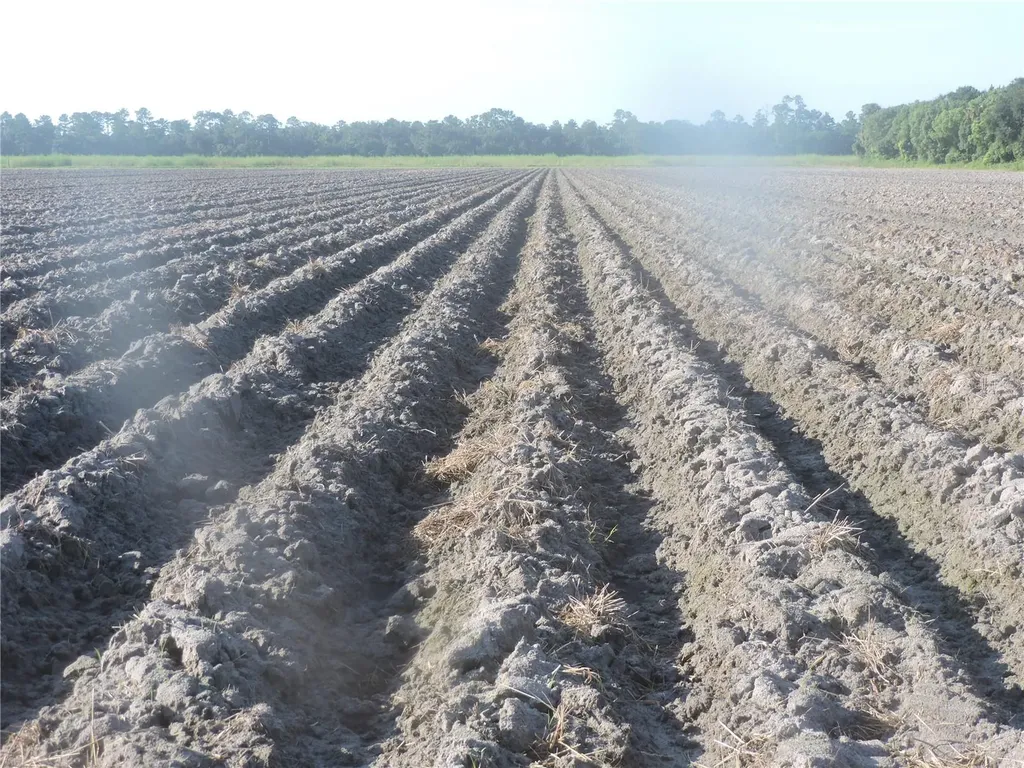 County Road 108 Road Bunnell FL 32110