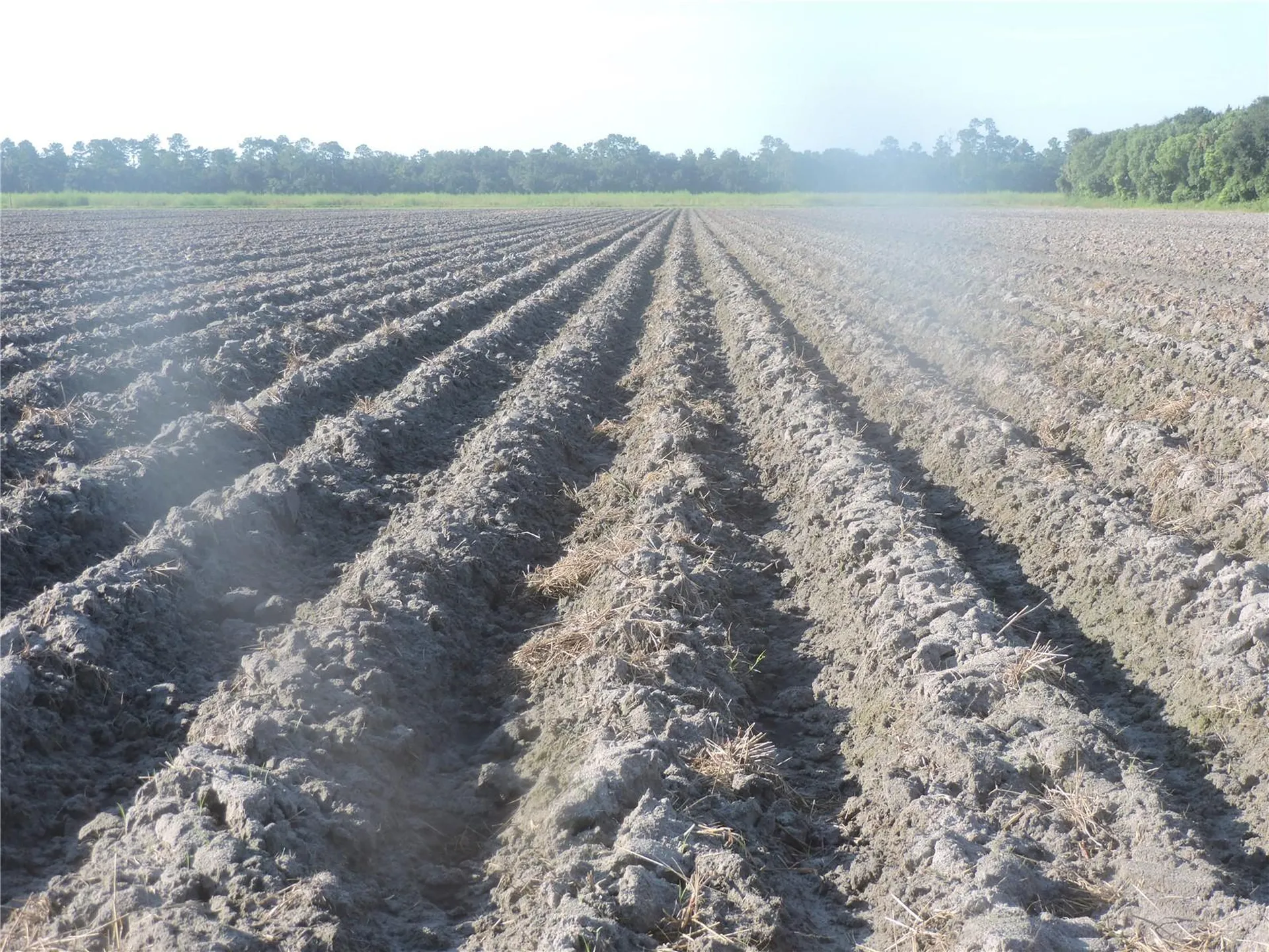 County Road 108 Road Bunnell FL 32110