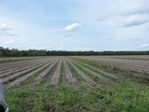 County Road 108 Road Bunnell FL 32110
