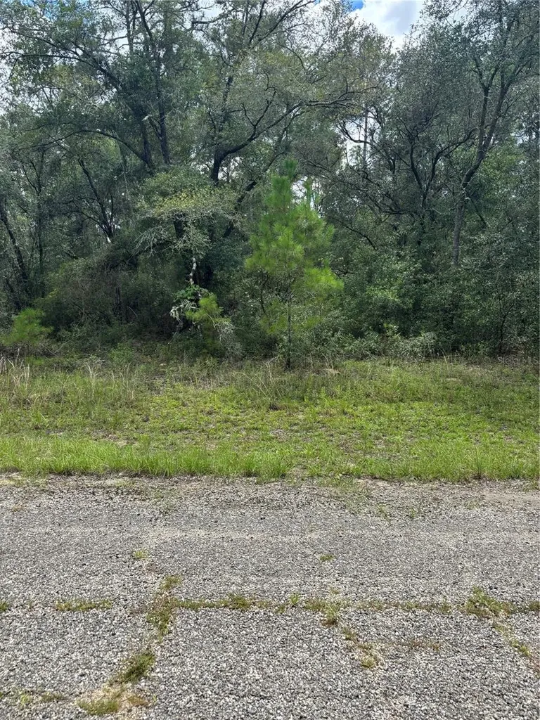 875 E Elston Place Citrus Springs FL 34434