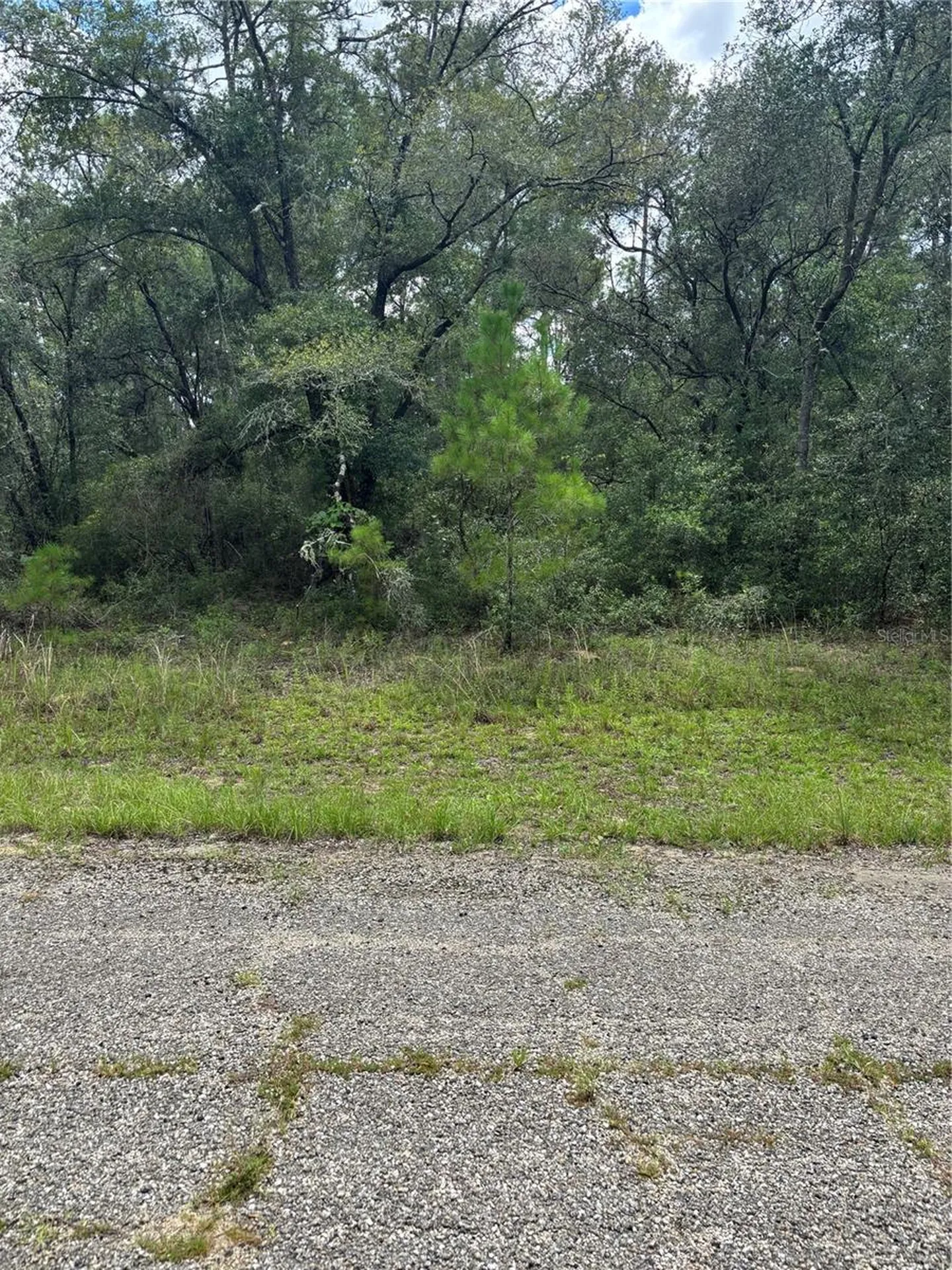 875 E Elston Place Citrus Springs FL 34434