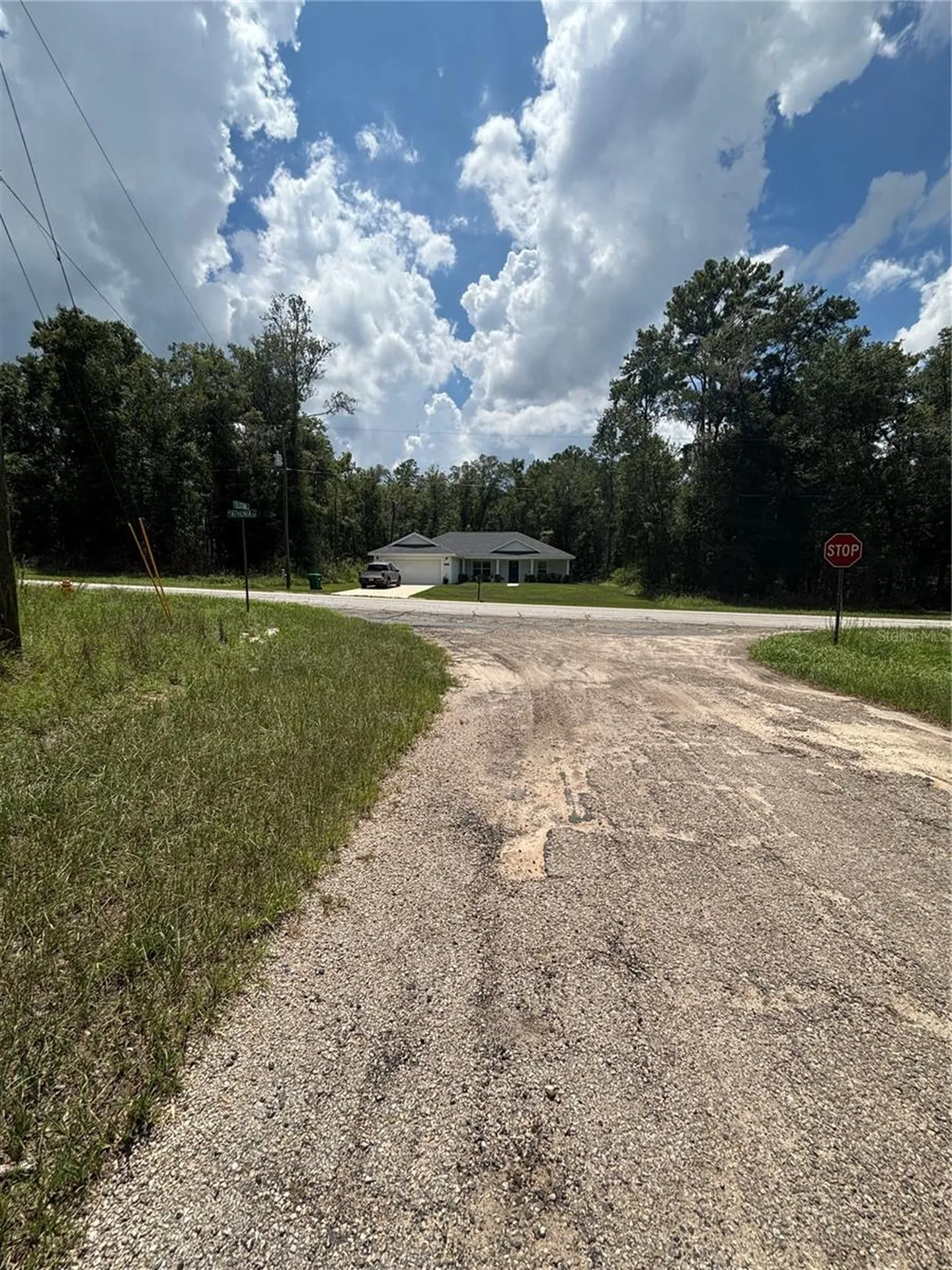 875 E Elston Place Citrus Springs FL 34434