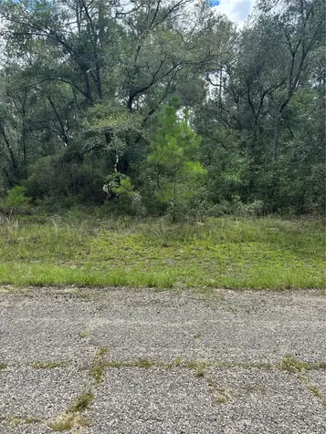 875 E Elston Place Citrus Springs FL 34434